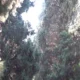 سبد خرید و پرداخت