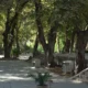 سبد خرید و پرداخت