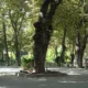 سبد خرید و پرداخت